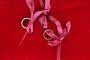 details-068